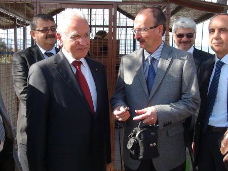 Sokak kedileri kedi evinde barınacak