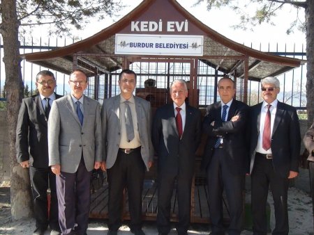 Sokak kedileri kedi evinde barınacak