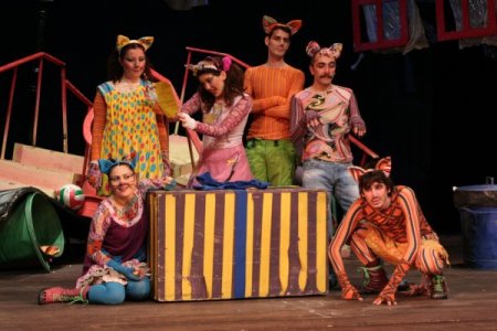 'Sokak Kedileri' minik hayranlarıyla buluşuyor