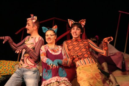 'Sokak Kedileri' minik hayranlarıyla buluşuyor