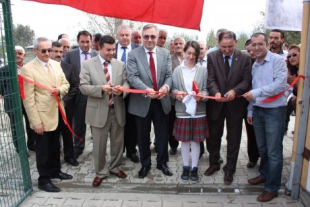 Sokak köpeklerinin de artık bir evi var