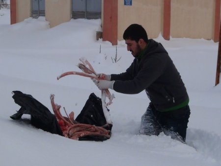 Sokak ve yaban hayvanları için doğaya yiyecek bırakıldı