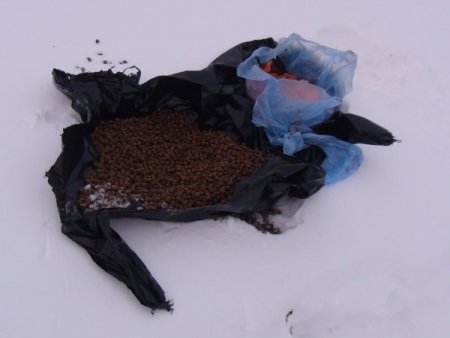 Sokak ve yaban hayvanları için doğaya yiyecek bırakıldı