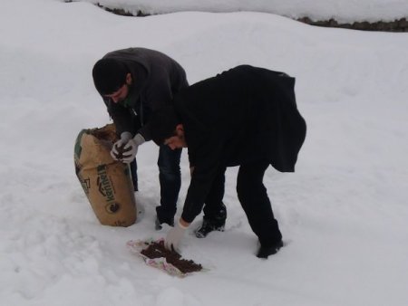 Sokak ve yaban hayvanları için doğaya yiyecek bırakıldı