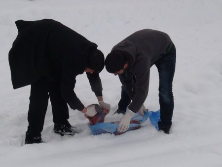 Sokak ve yaban hayvanları için doğaya yiyecek bırakıldı