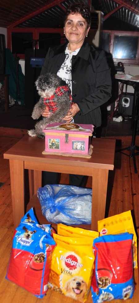 Sokaklardan toplayıp beslediği köpeklerin bakımı için gece düzenledi