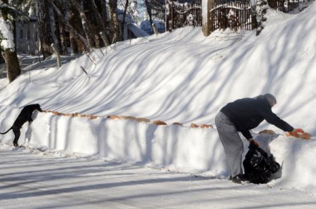 Sokakta yaşayan hayvanlara yiyecek desteği