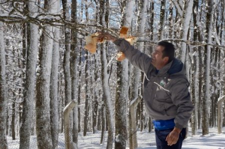Sokakta yaşayan hayvanlara yiyecek desteği