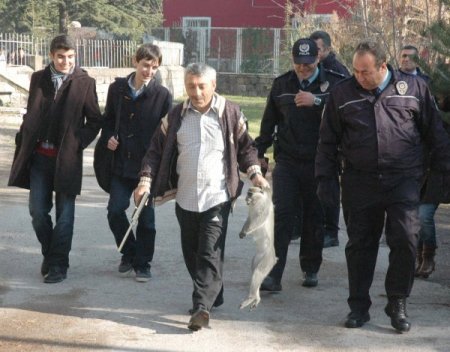 Sokaktaki başıboş maymun 3 kişiyi ısırarak yaraladı