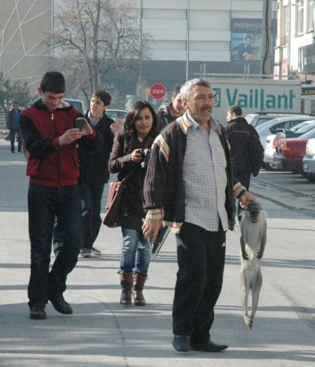 Sokaktaki başıboş maymun 3 kişiyi ısırarak yaraladı