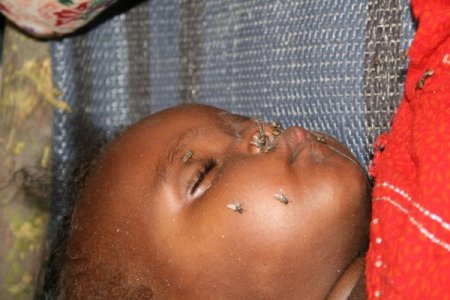 Somali Cumhurbaşkanı: Ne Zaman Başımıza Bir Şey Gelse İlk Gelenler Türkler Oldu