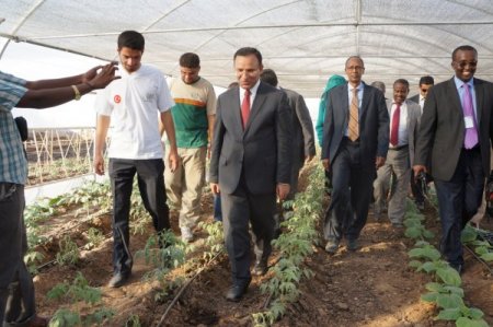 Somalililer çiftçiliği Türklerin açtığı Tarım Okulu'nda öğrenecek