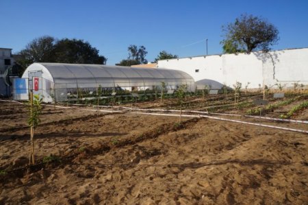 Somalililer çiftçiliği Türklerin açtığı Tarım Okulu'nda öğrenecek