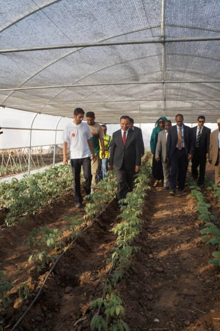 Somalililer çiftçiliği Türklerin açtığı Tarım Okulu'nda öğrenecek