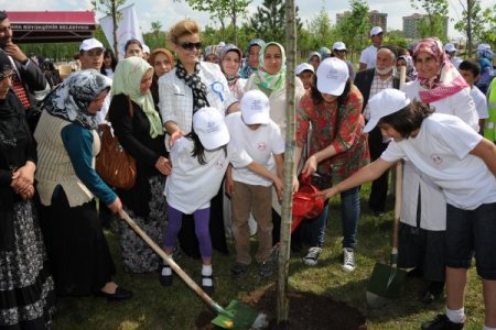 Sosyal Hizmetler Eğitim Ve Yardım Vakfı'ndan Anne Ve Gençlik Hatıra Ormanı