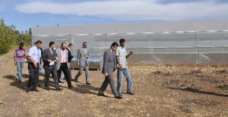 Sosyal Yardımlaşma Kredisiyle Sera Kurdular