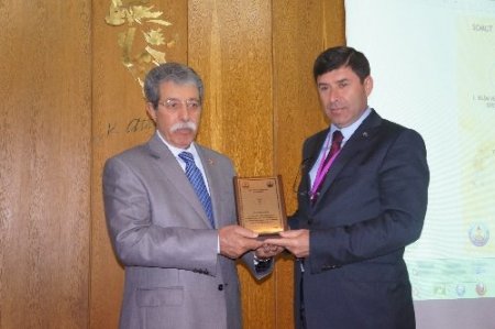 Soyut kültürün yok olmasını önlemek için yarıştılar