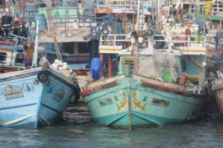 Sri Lanka Sularına Her Gece Bin 400 Kaçak Balık Teknesi Giriyor