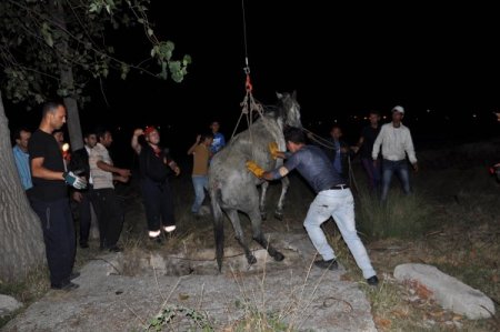 Su kuyusunda at kurtarma operasyonu (Özel)