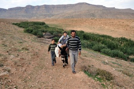 Su taşımak için aldığı eşeğin taksitini Kaymakam ödeyecek