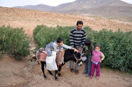 Su taşımak için aldığı eşeğin taksitini Kaymakam ödeyecek