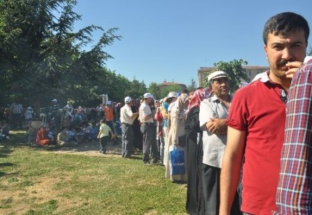 Sucuk festivalinde 1,5 ton sucuk dağıtıldı