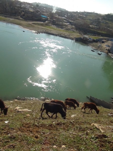 Sulak alanların korunması konusunda bilgilendirme yapıldı