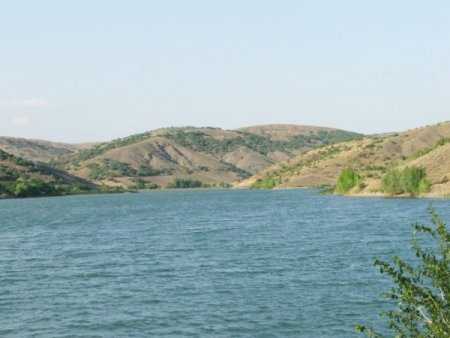 Sulakyurt Göleti'ne 20 Bin Balık Bırakıldı