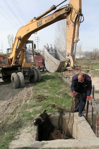 Sulama Kanalına Düşen At İtfaiye Tarafından Kurtarıldı