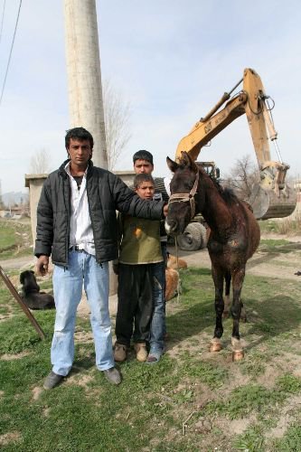 Sulama Kanalına Düşen At İtfaiye Tarafından Kurtarıldı