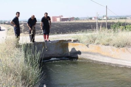 Sulama Kanalına Düşen Köpek İtfaiye Tarafından Kurtarıldı