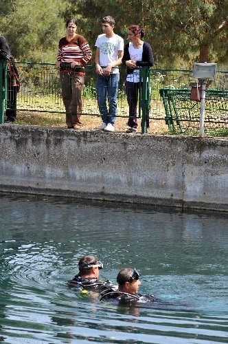 Sulama kanalına düştüğü iddia edilen çocuk bulunamadı