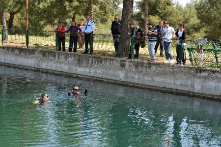 Sulama kanalına düştüğü iddia edilen çocuk bulunamadı