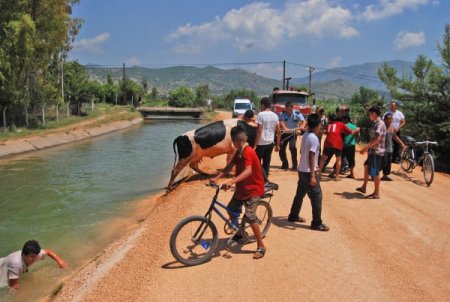 Sulama Kanalına Giren İnek Zor Kurtarıldı