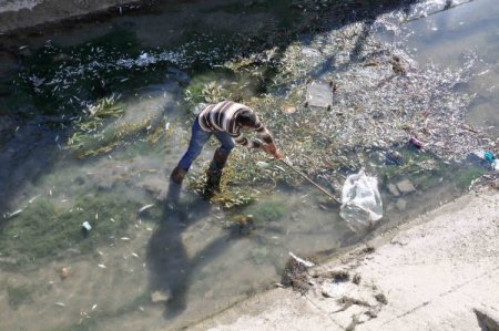 Sulama kanalına zehir döküldü balıklar öldü iddiası