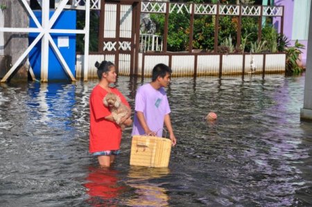 Sular Altındaki Tayland’dan Manzaralar