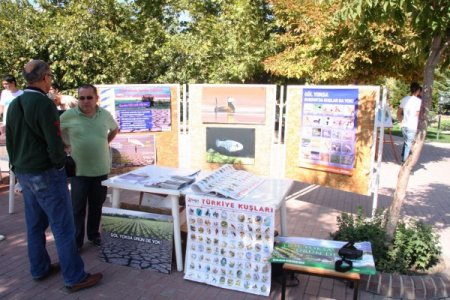 Suların çekilmesi Burdur Gölü'nde kuş çeşitliliğini olumsuz etkiledi