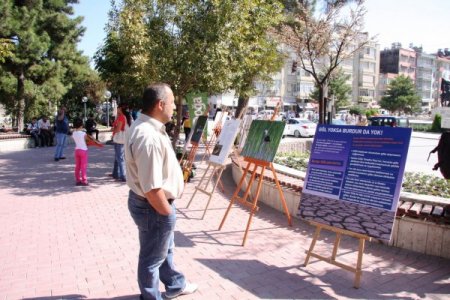 Suların çekilmesi Burdur Gölü'nde kuş çeşitliliğini olumsuz etkiledi