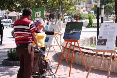 Suların çekilmesi Burdur Gölü'nde kuş çeşitliliğini olumsuz etkiledi