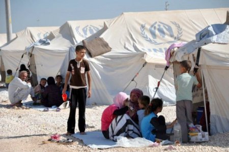 Süleyman Şah Kampı, Akçakaleli gençlerin iş kapısı oldu
