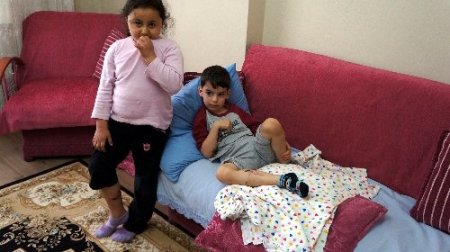 Sultanbeyli'de sokak köpeği yine bir çocuğu ısırdı