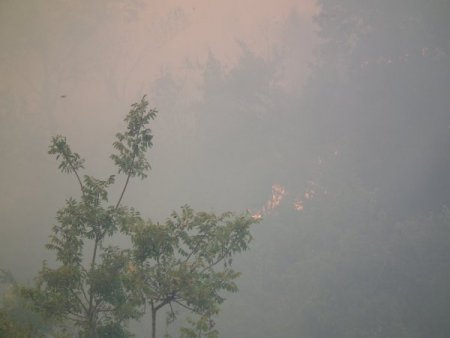 Suriye sınırındaki ormanlık alanda yangın