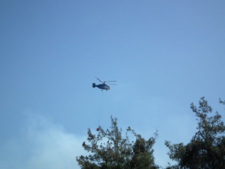 Suriye sınırındaki ormanlık alanda yangın