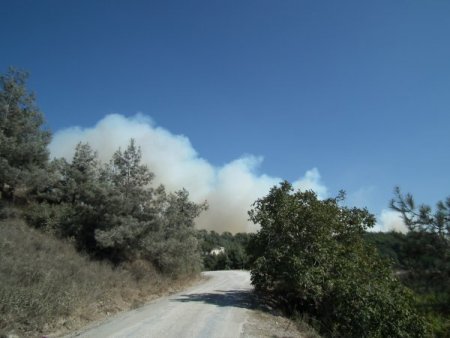 Suriye sınırındaki ormanlık alanda yangın