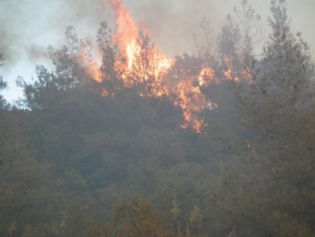 Suriye sınırından Türkiye’ye sıçrayan yangın kontrol altında