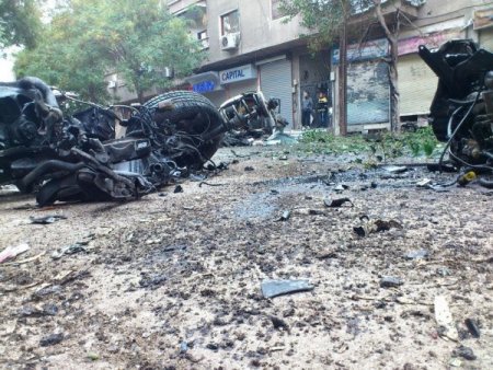 Suriye'deki saldırıda yavrusunu kaybeden kediden insanlık dersi