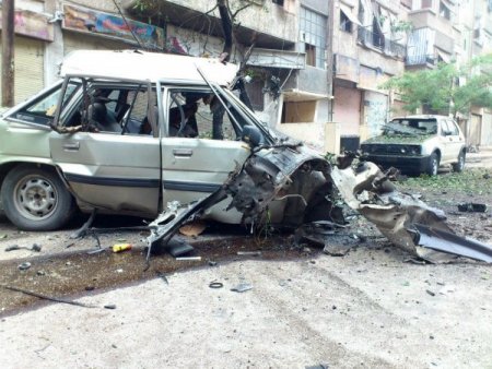 Suriye'deki saldırıda yavrusunu kaybeden kediden insanlık dersi