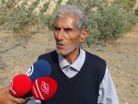 Suriye’den atılan havan mermisi Hatay'da zeytin ağaçlarına zarar verdi