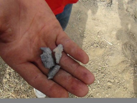 Suriye’den atılan havan mermisi Hatay'da zeytin ağaçlarına zarar verdi