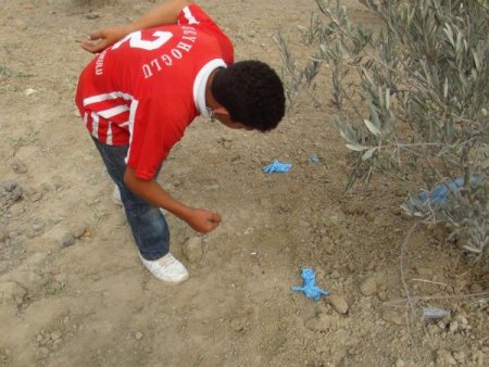 Suriye’den atılan havan mermisi Hatay'da zeytin ağaçlarına zarar verdi